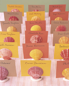 shells