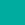 Teal Teal