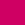 Fuschia Fuschia
