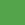 Kiwi Kiwi