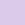 Orchid Orchid