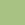 Pistachio Pistachio